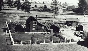 thumbnail of image