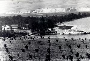 thumbnail of image