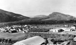 thumbnail of image