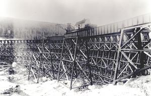 thumbnail of image