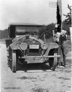 thumbnail of image