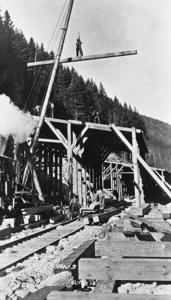 thumbnail of image