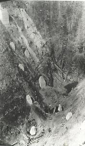 thumbnail of image