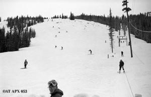 thumbnail of image