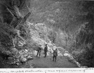 thumbnail of image