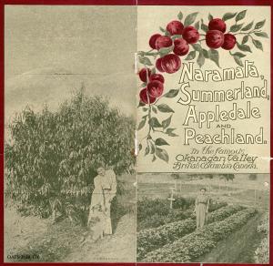 thumbnail of image