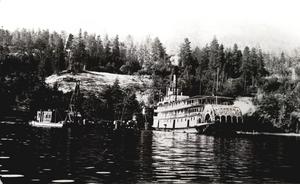 thumbnail of image