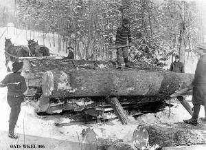thumbnail of image