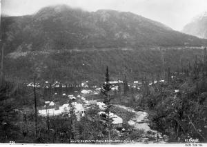 thumbnail of image