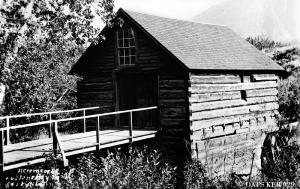 thumbnail of image