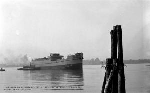 thumbnail of image