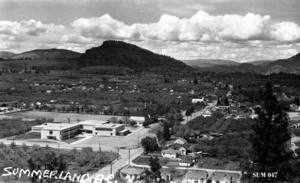 thumbnail of image