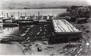 thumbnail of image