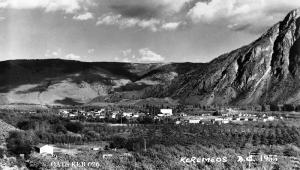 thumbnail of image