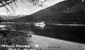 thumbnail of image
