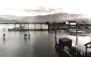 thumbnail of image