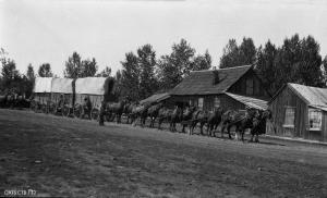 thumbnail of image