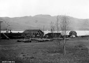 thumbnail of image