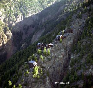 thumbnail of image