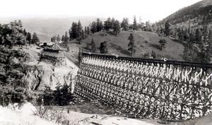 thumbnail of image