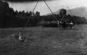 thumbnail of image