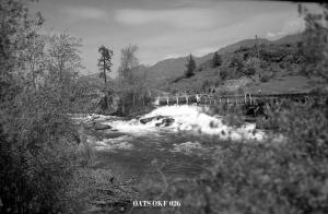 thumbnail of image