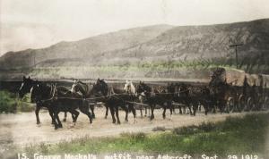 thumbnail of image