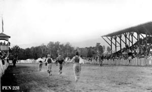thumbnail of image