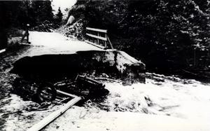 thumbnail of image