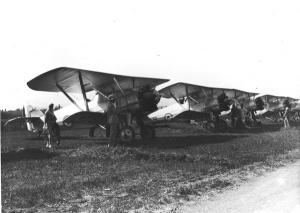 thumbnail of image