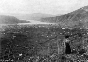 thumbnail of image