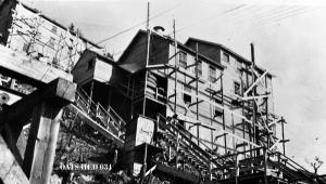 thumbnail of image