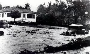 thumbnail of image