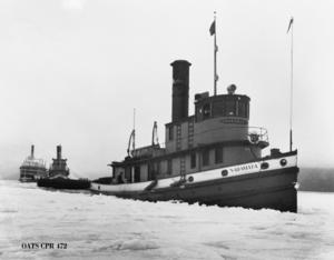 thumbnail of image