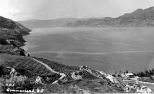 thumbnail of image