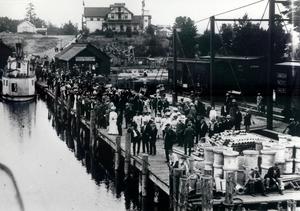 thumbnail of image