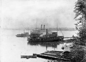 thumbnail of image