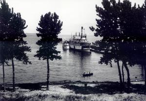 thumbnail of image