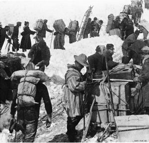 thumbnail of image