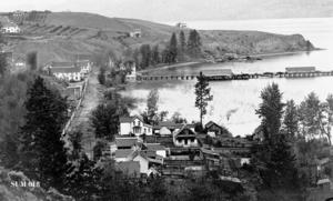 thumbnail of image