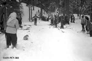 thumbnail of image
