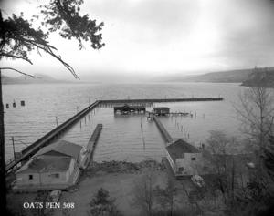 thumbnail of image