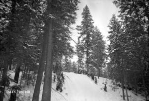 thumbnail of image
