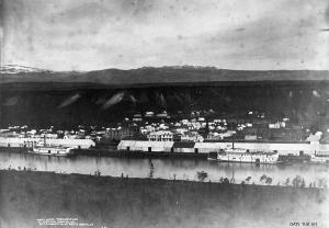 thumbnail of image