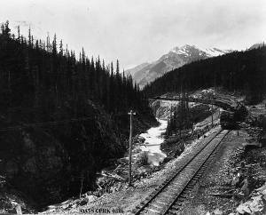 thumbnail of image