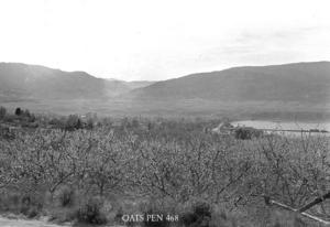 thumbnail of image