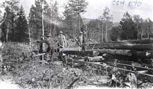 thumbnail of image