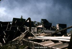 thumbnail of image