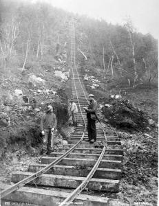 thumbnail of image