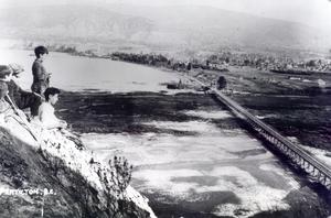 thumbnail of image